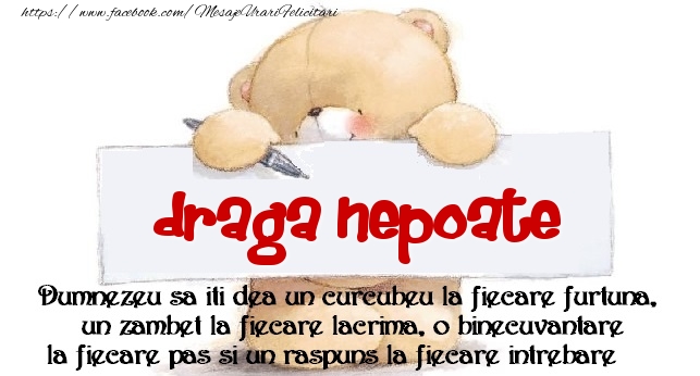 Felicitari de prietenie pentru Nepot - Mesaj pentru prieteni! draga nepoate
