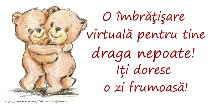 Felicitari de prietenie pentru Nepot - O îmbrăţişare virtuală pentru tine draga nepoate. Iți doresc o zi frumoasă!