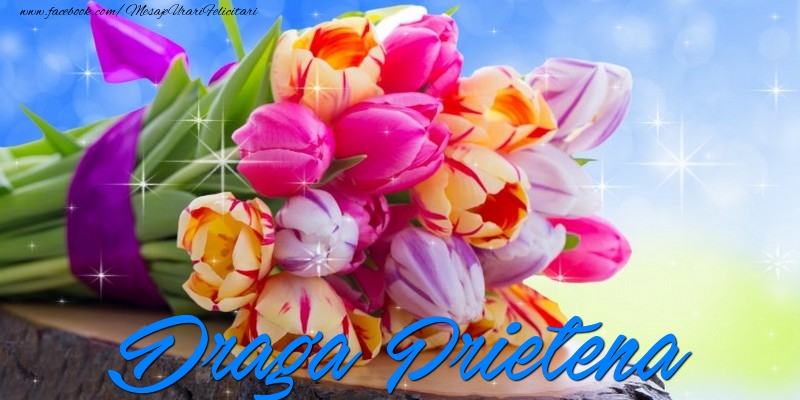 Felicitari de prietenie pentru Prietena - Draga prietena