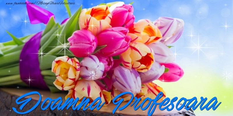 Felicitari de prietenie pentru Profesoara - Doamna profesoara