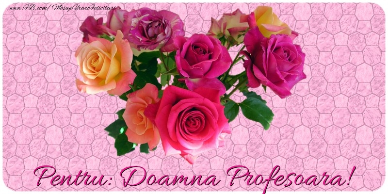 Felicitari de prietenie pentru Profesoara - Pentru doamna profesoara