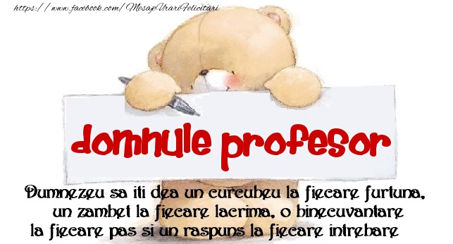 Felicitari de prietenie pentru Profesor - Mesaj pentru prieteni! domnule profesor