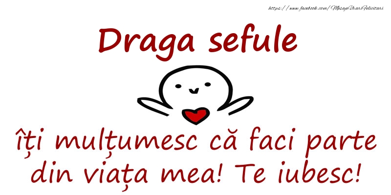 Felicitari de prietenie pentru Sef - Draga sefule, îți mulțumesc că faci parte din viața mea! Te iubesc!