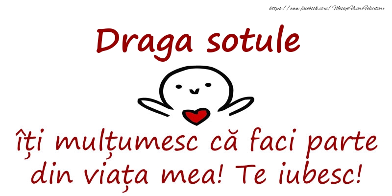 Felicitari de prietenie pentru Sot - Draga sotule, îți mulțumesc că faci parte din viața mea! Te iubesc!