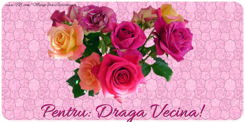 Felicitari de prietenie pentru Vecina - Pentru draga vecina