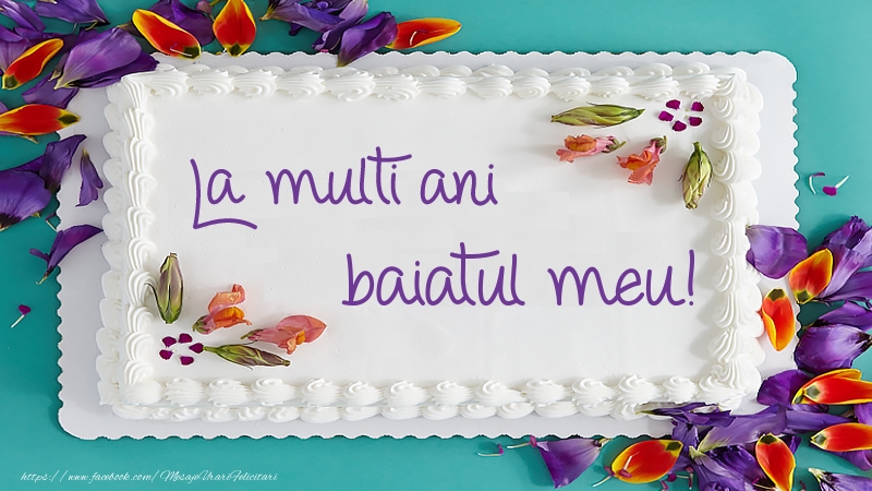 Felicitari de zi de nastere pentru Baiat - Tort La multi ani baiatul meu!