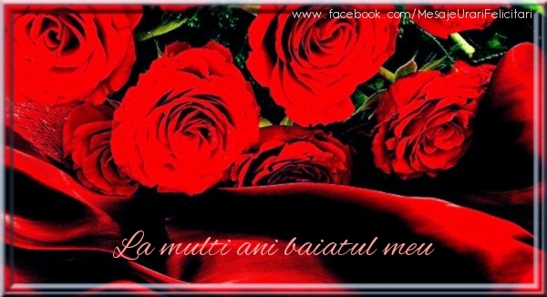 Felicitari de zi de nastere pentru Baiat - La multi ani fiul meu