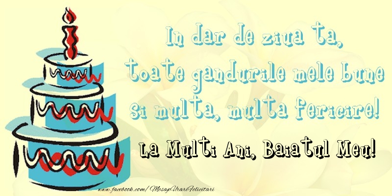 Felicitari de zi de nastere pentru Baiat - In dar de ziua ta,  toate gandurile mele bune  si multa, multa fericire! La mullti ani, baiatul meu