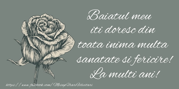 Felicitari de zi de nastere pentru Baiat - Fiul meu iti doresc din toata inima multa sanatate si fericire! La multi ani!