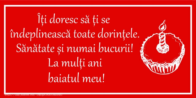 Felicitari de zi de nastere pentru Baiat - Îți doresc să ți se  îndeplinească toate dorințele. Sănătate și numai bucurii! La mulți ani baiatul meu!