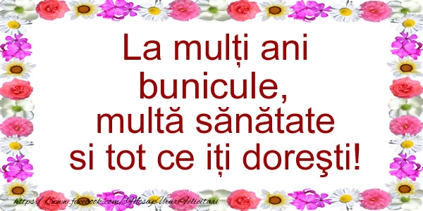 Felicitari de zi de nastere pentru Bunic - La multi ani bunicule, multa sanatate si tot ce iti doresti!