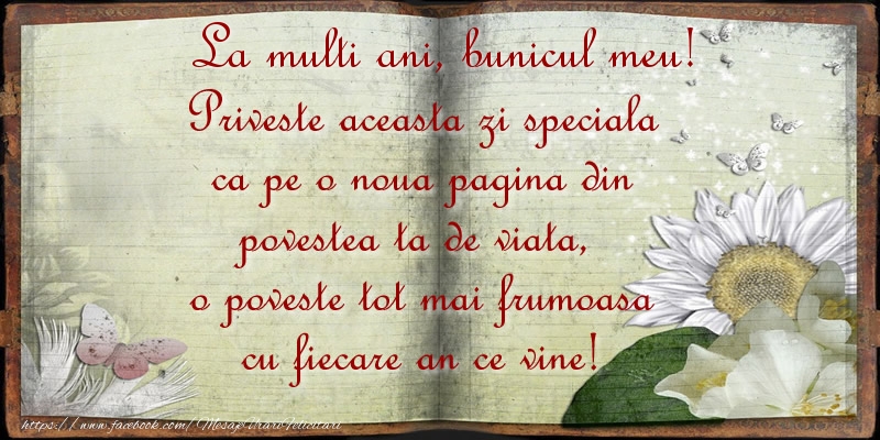 Felicitari de zi de nastere pentru Bunic - La multi ani bunicul meu!