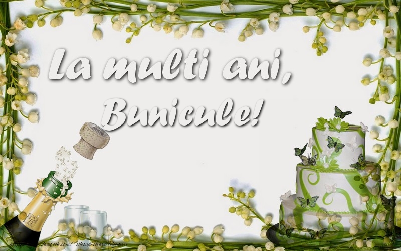 Felicitari de zi de nastere pentru Bunic - La multi ani, bunicule!
