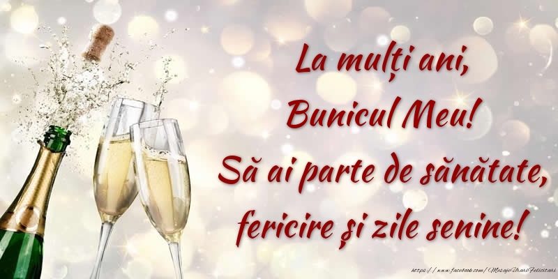 Felicitari de zi de nastere pentru Bunic - La mulți ani, bunicul meu! Să ai parte de sănătate, fericire și zile senine!