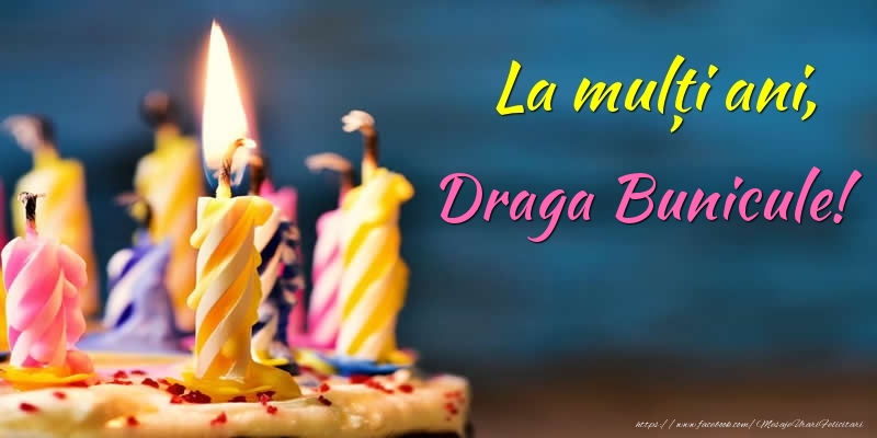 Felicitari de zi de nastere pentru Bunic - La mulți ani, draga bunicule!
