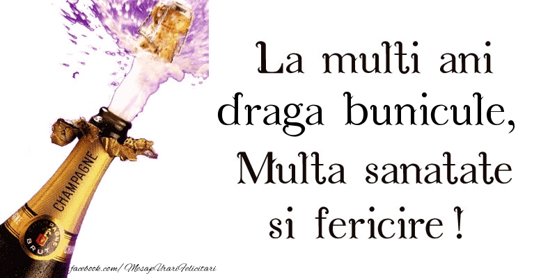 Felicitari de zi de nastere pentru Bunic - La multi ani draga bunicule! Multa sanatate si fericire!