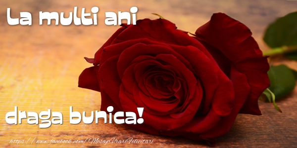 Felicitari de zi de nastere pentru Bunica - La multi ani draga bunica!