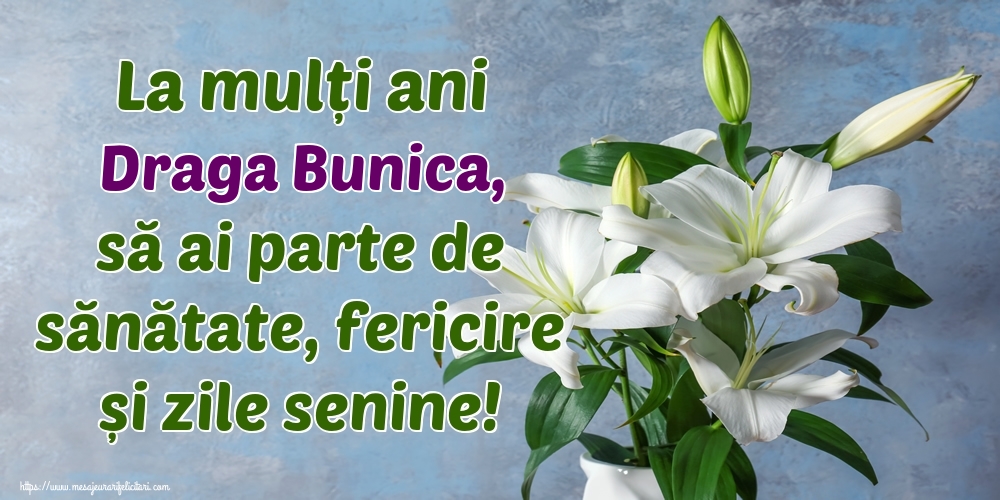 Felicitari de zi de nastere pentru Bunica - La mulți ani draga bunica, să ai parte de sănătate, fericire și zile senine!