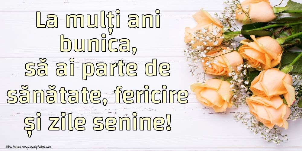 Felicitari de zi de nastere pentru Bunica - La mulți ani bunica, să ai parte de sănătate, fericire și zile senine!