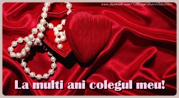 Felicitari de zi de nastere pentru Coleg - La multi ani colegul meu