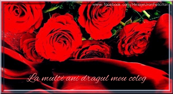 Felicitari de zi de nastere pentru Coleg - La multi ani dragul meu coleg