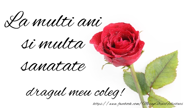 Felicitari de zi de nastere pentru Coleg - La multi ani si multa sanatate dragul meu coleg!