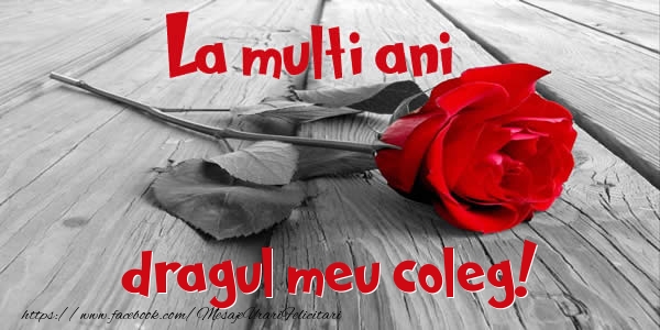 Felicitari de zi de nastere pentru Coleg - La multi ani dragul meu coleg!
