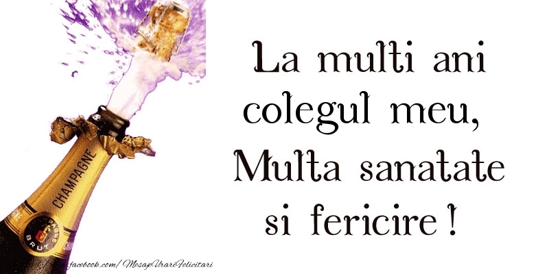 Felicitari de zi de nastere pentru Coleg - La multi ani colegul meu! Multa sanatate si fericire!