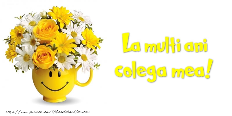 Felicitari de zi de nastere pentru Colega - La multi ani colega mea!