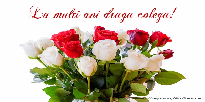 Felicitari de zi de nastere pentru Colega - La multi ani draga colega!