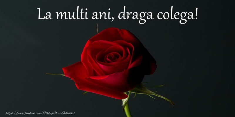 Felicitari de zi de nastere pentru Colega - La multi ani draga colega!