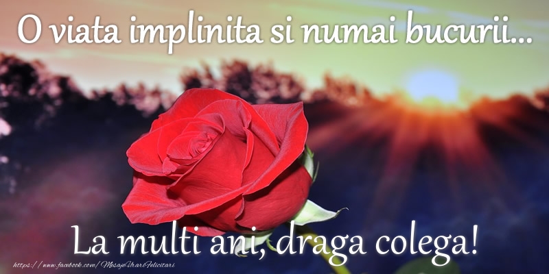 Felicitari de zi de nastere pentru Colega - O viata implinita si numai bucurii... La multi ani colega mea!