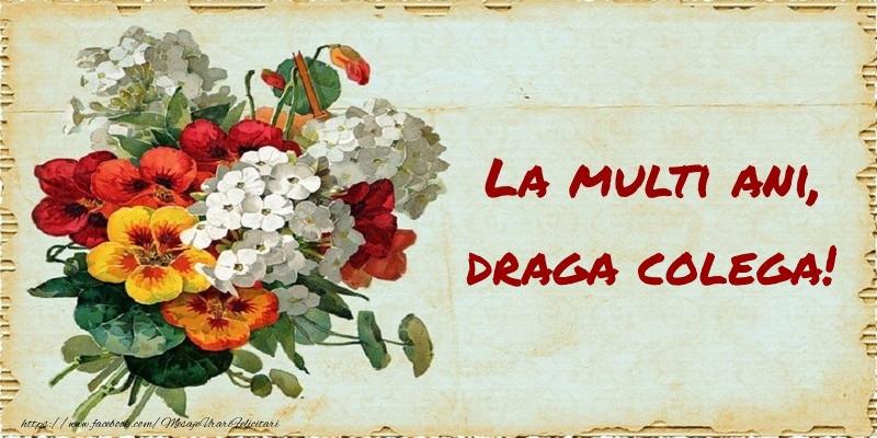 Felicitari de zi de nastere pentru Colega - La multi ani, draga colega!