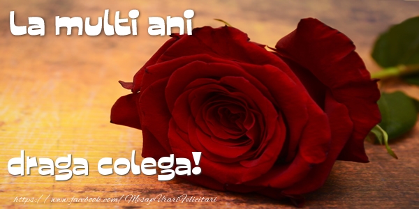 Felicitari de zi de nastere pentru Colega - La multi ani draga colega!