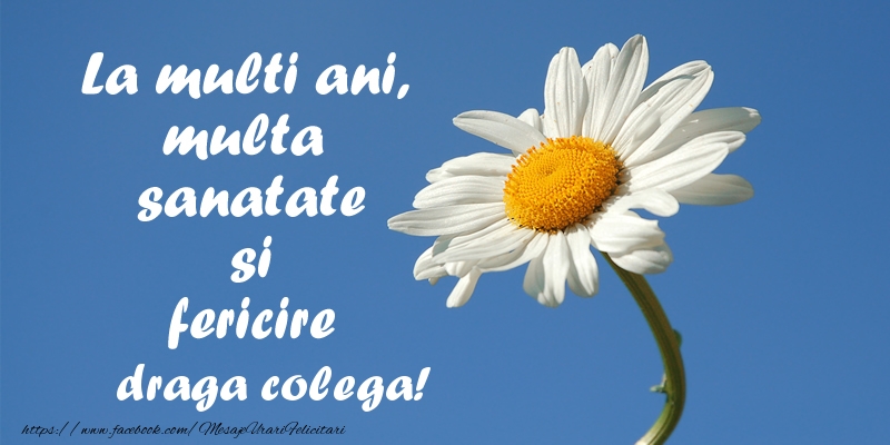 Felicitari de zi de nastere pentru Colega - La multi ani, multa sanatate si fericire draga colega!