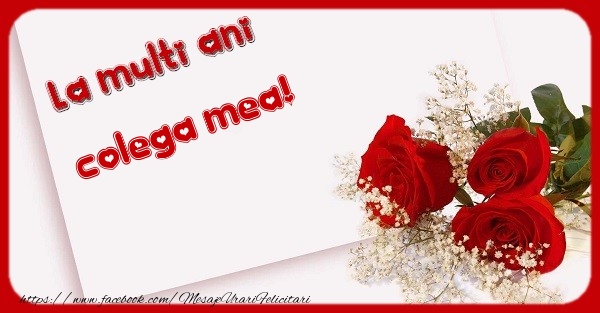 Felicitari de zi de nastere pentru Colega - La multi ani colega mea
