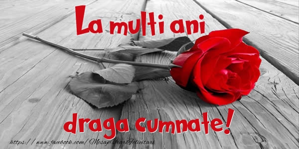 Felicitari de zi de nastere pentru Cumnat - La multi ani draga cumnate!