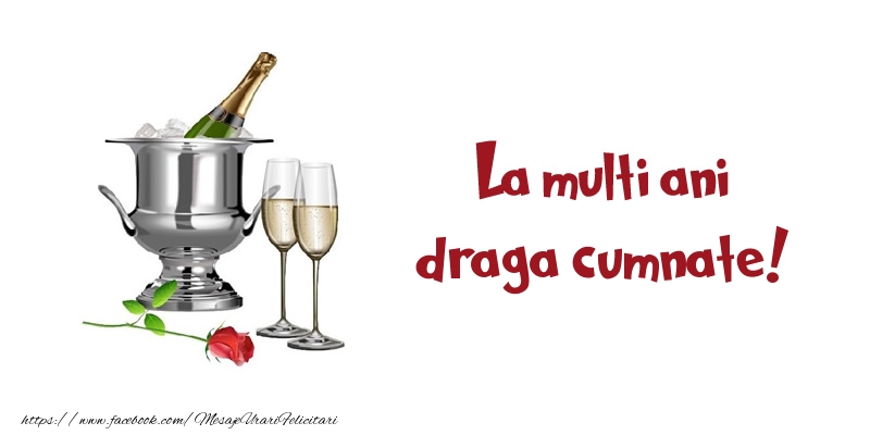 Felicitari de zi de nastere pentru Cumnat - La multi ani draga cumnate!
