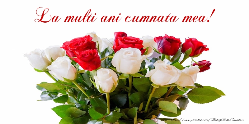 Felicitari de zi de nastere pentru Cumnata - La multi ani cumnata mea!