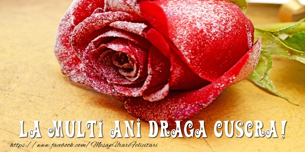 Felicitari de zi de nastere pentru Cuscra - La multi ani draga cuscra!