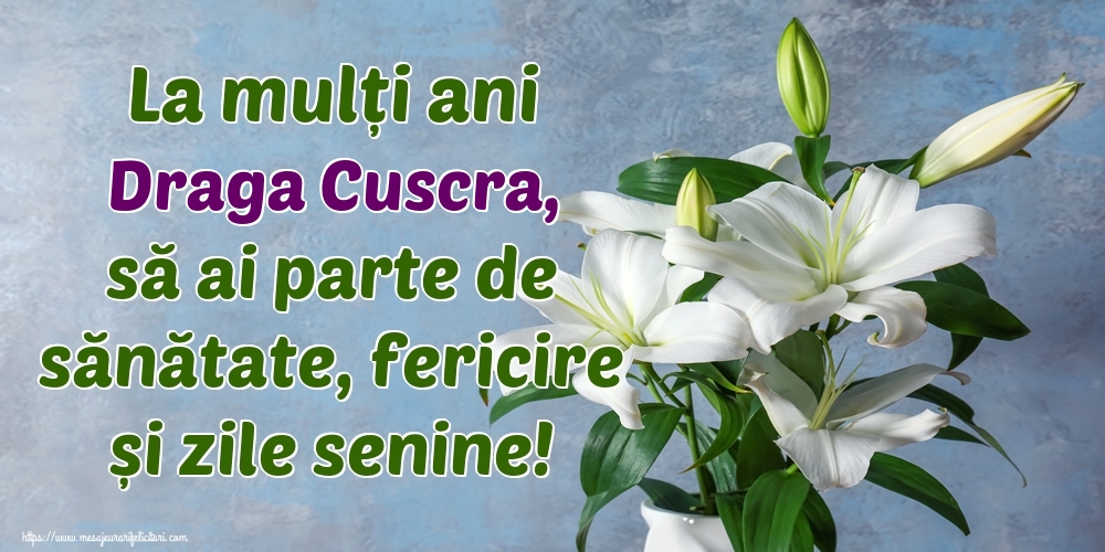 Felicitari de zi de nastere pentru Cuscra - La mulți ani draga cuscra, să ai parte de sănătate, fericire și zile senine!