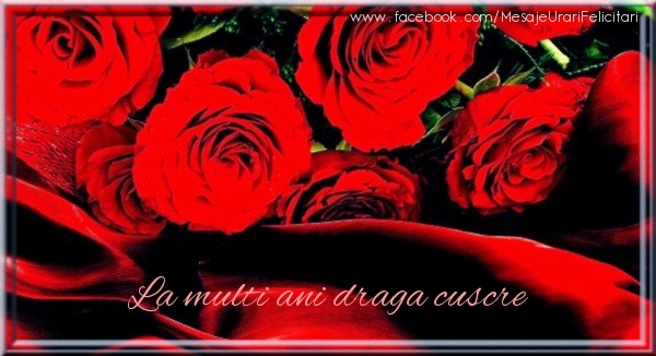 Felicitari de zi de nastere pentru Cuscru - La multi ani draga cuscre