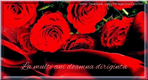 Felicitari de zi de nastere pentru Diriginta - La multi ani doamna diriginta