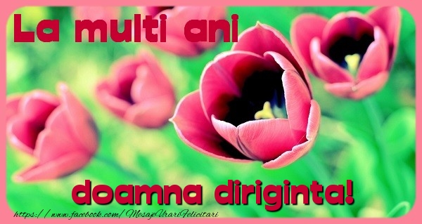 Felicitari de zi de nastere pentru Diriginta - La multi ani doamna diriginta