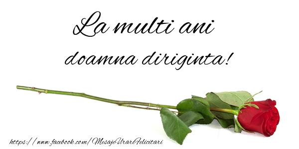 Felicitari de zi de nastere pentru Diriginta - La multi ani doamna diriginta!