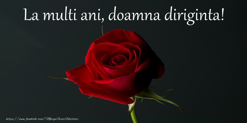 Felicitari de zi de nastere pentru Diriginta - La multi ani doamna diriginta!