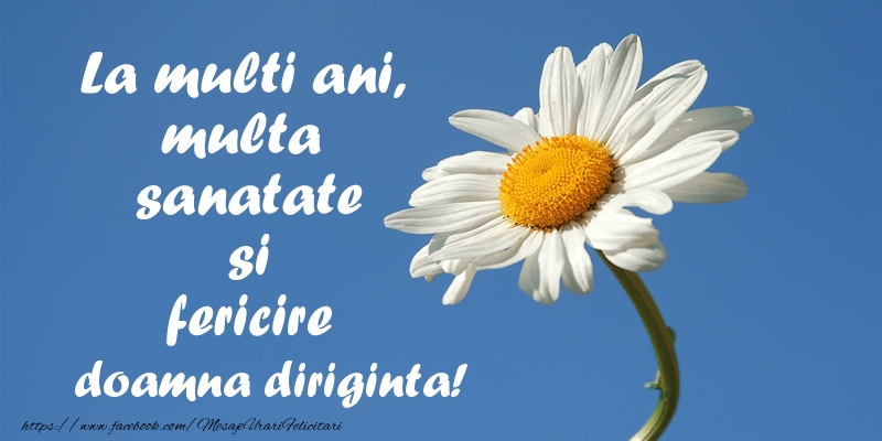 Felicitari de zi de nastere pentru Diriginta - La multi ani, multa sanatate si fericire doamna diriginta!