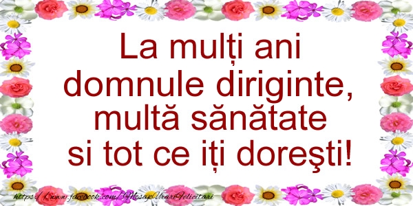 Felicitari de zi de nastere pentru Diriginte - La multi ani domnule diriginte, multa sanatate si tot ce iti doresti!