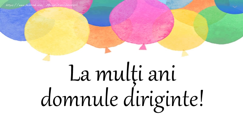 Felicitari de zi de nastere pentru Diriginte - La multi ani domnule diriginte!