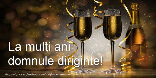 Felicitari de zi de nastere pentru Diriginte - La multi ani domnule diriginte!